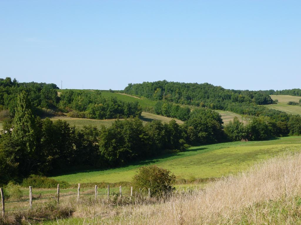 Ancien Haras De La Tour Bed & Breakfast Lamothe-Landerron Exterior foto