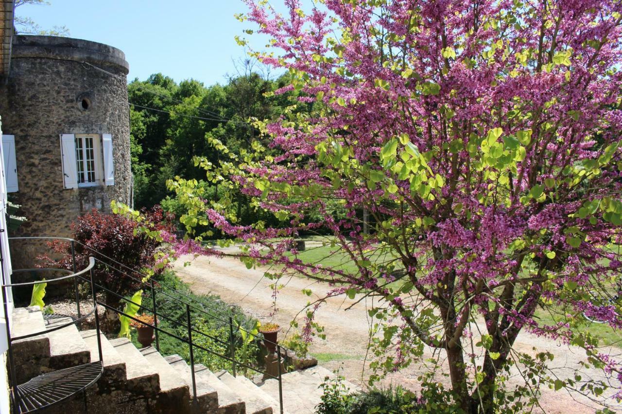 Ancien Haras De La Tour Bed & Breakfast Lamothe-Landerron Exterior foto